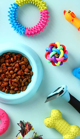 Pet Toys